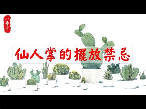 仙人掌放玄關|仙人掌風水指南：提升居家能量與幸福感 